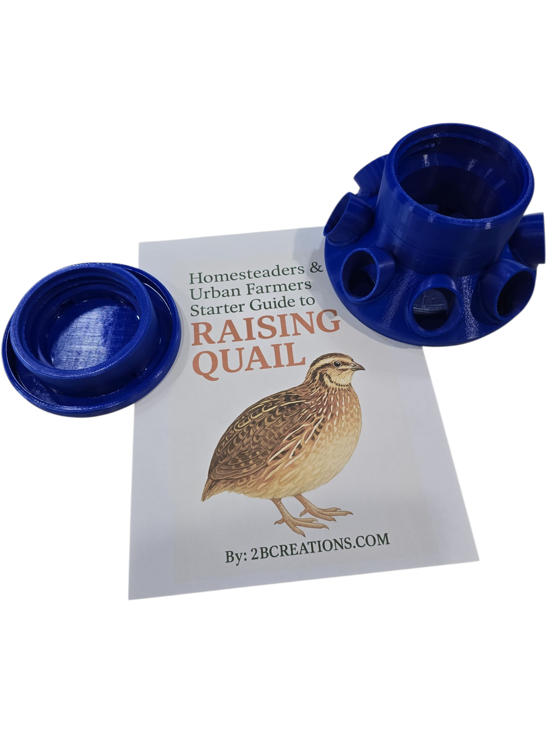 Homesteaders Quail Starter Kit: Quail Feeder with Feed Saver Ports |Wide Mouth Jar Compatible | Base only |Quail Water included
