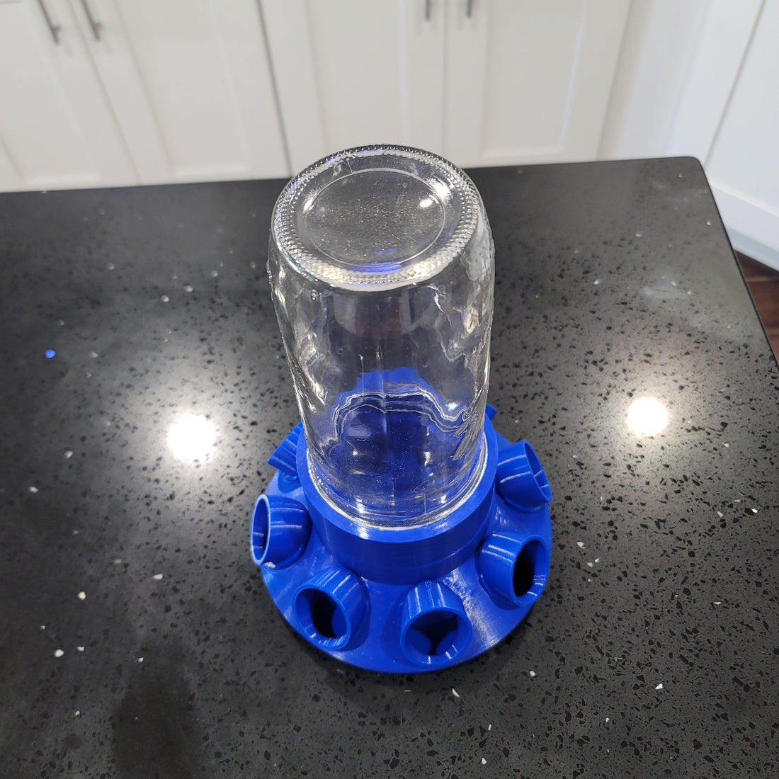 Quail Feed Waste Calculator: How Much Feed Are You Losing Each Month?