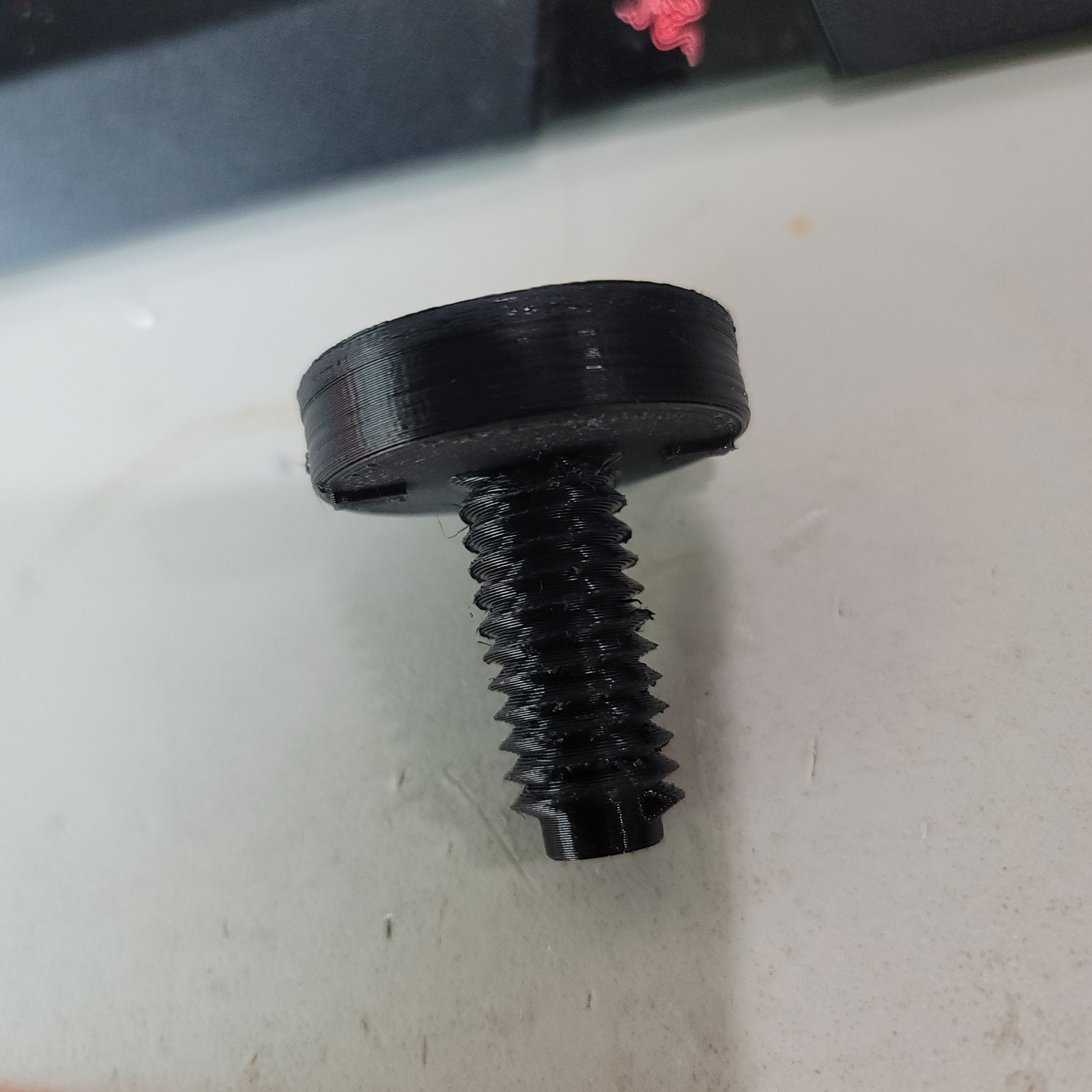 Homestead and Garden