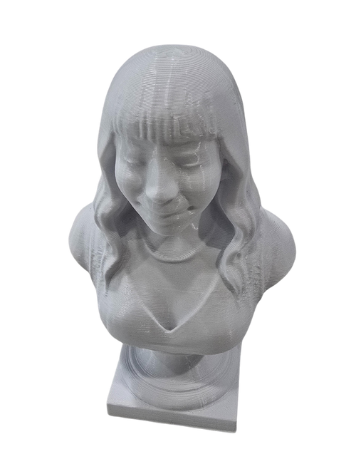 3D Model Generation from a photo that you upload!  Make your Mini Me.  Memories forever saved in 3D.