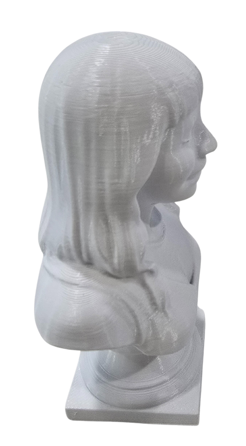 3D Model Generation from a photo that you upload!  Make your Mini Me.  Memories forever saved in 3D.