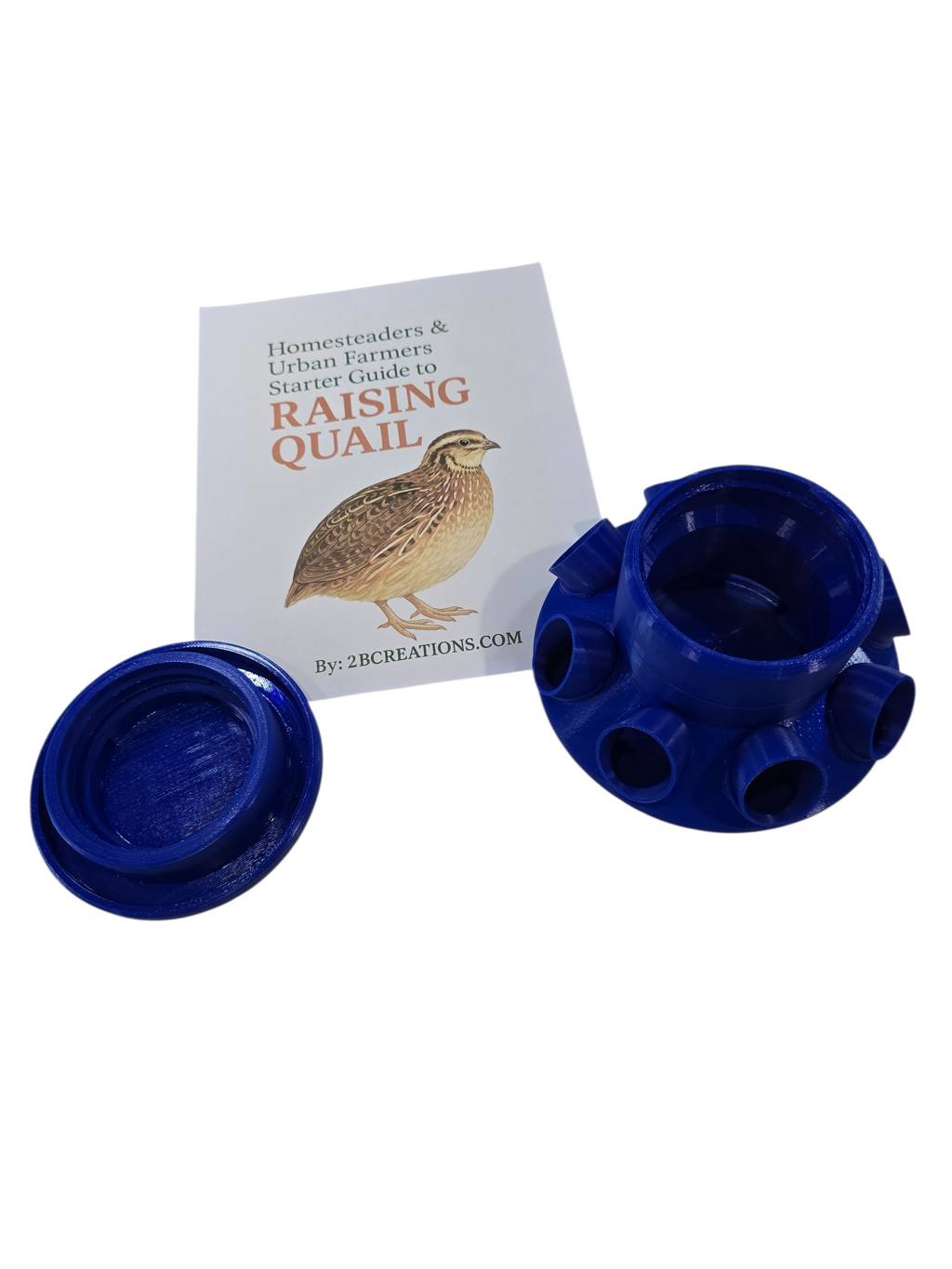 Homesteaders Quail Starter Kit: Quail Feeder with Feed Saver Ports |Wide Mouth Jar Compatible | Base only |Quail Water included
