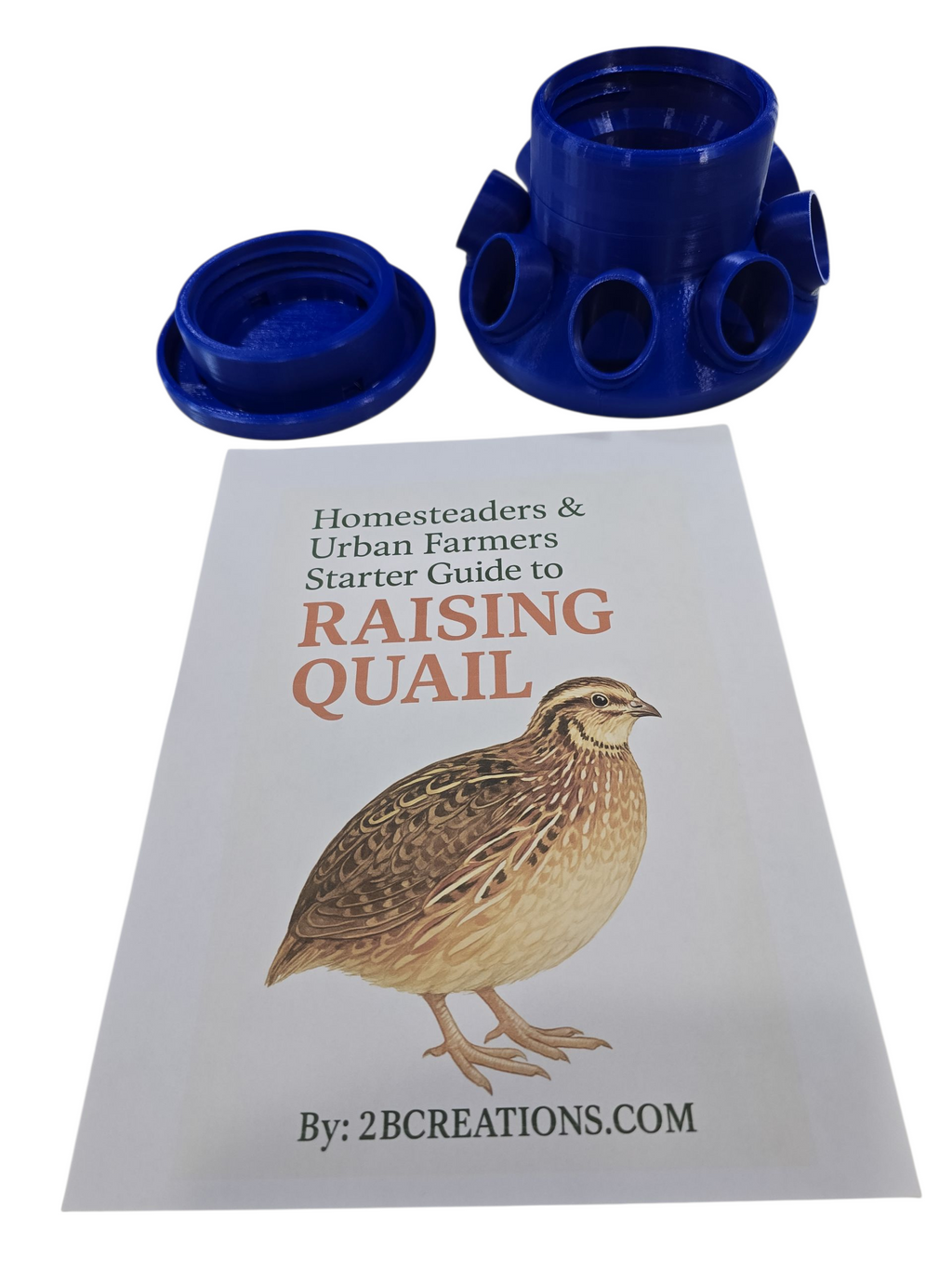 Homesteaders Quail Starter Kit: Quail Feeder with Feed Saver Ports |Wide Mouth Jar Compatible | Base only |Quail Water included