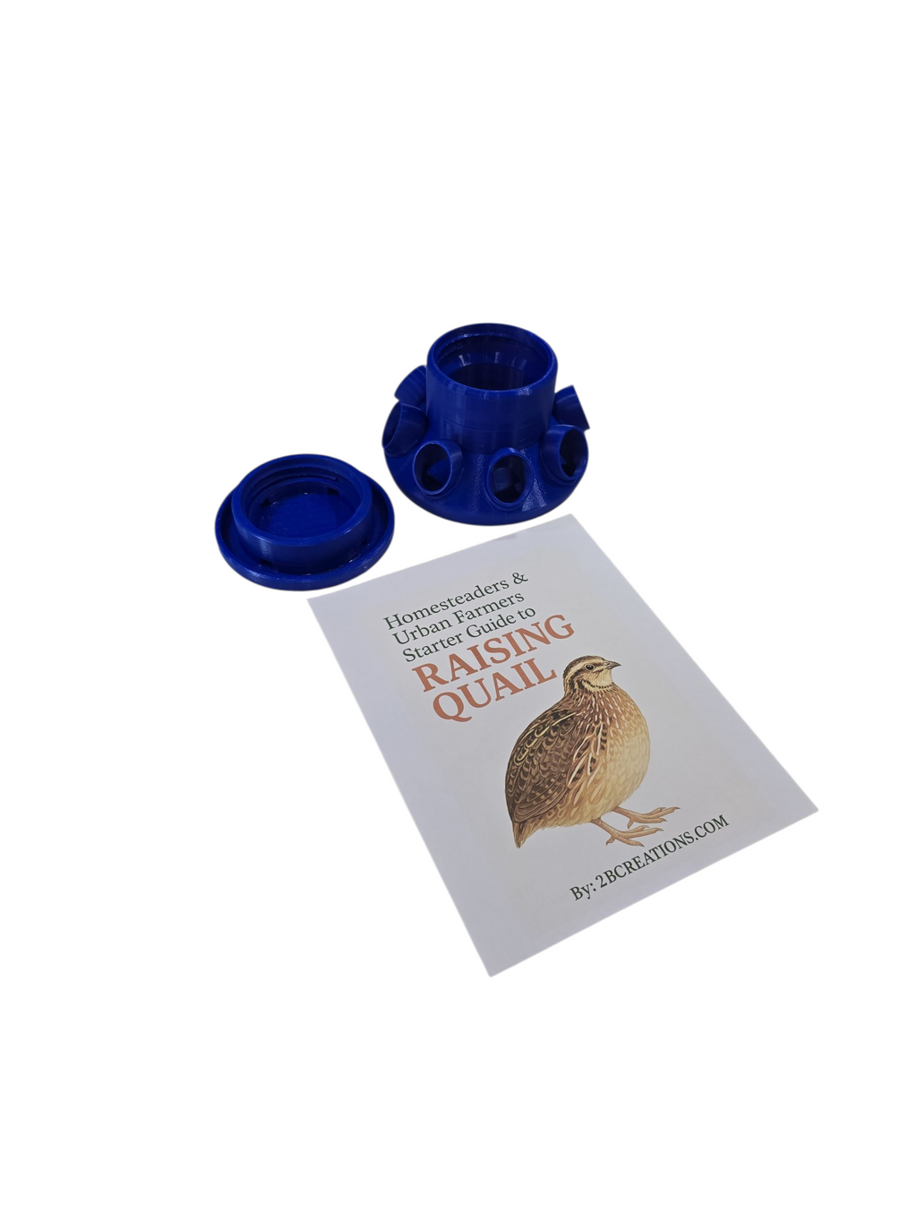 Homesteaders Quail Starter Kit: Quail Feeder with Feed Saver Ports |Wide Mouth Jar Compatible | Base only |Quail Water included
