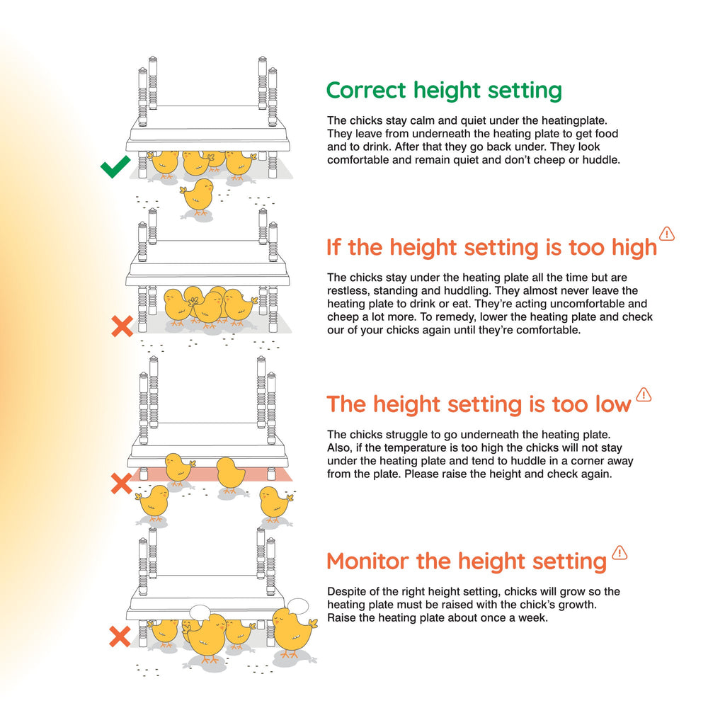 Warmzy Heating Plate (14" x 14") 25-30 chicks