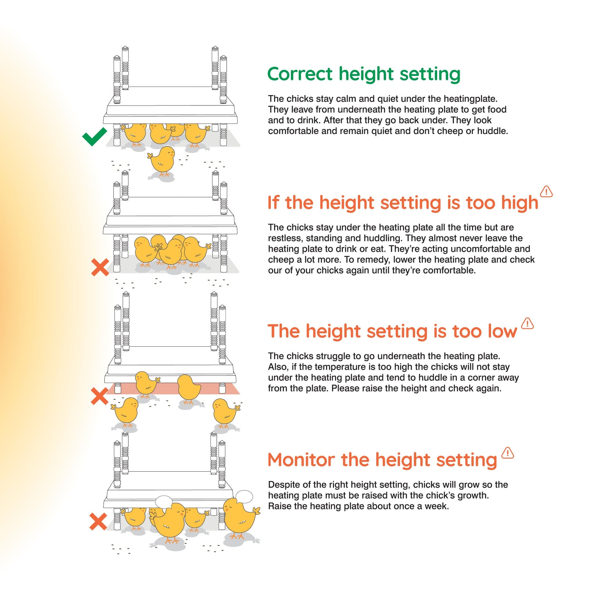 Warmzy Heating Plate (14" x 14") 25-30 chicks